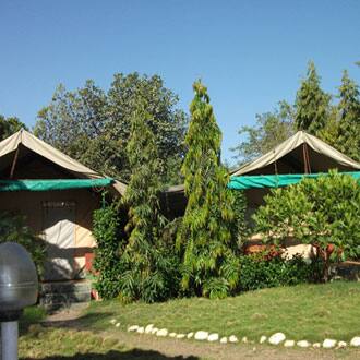 Countryside Farm, Alibaug 1